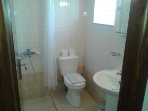 ein Bad mit einem WC und einem Waschbecken in der Unterkunft Kandania Apartments in Kántanos
