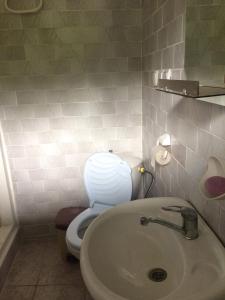 ein Bad mit einem WC und einem Waschbecken in der Unterkunft GuestHouse Malkhazi in Bordschomi