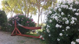 Vonkajšia záhrada v ubytovaní Agriturismo Podere Mulinaccio