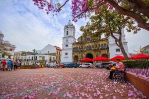 een vrouw op een bankje voor een gebouw met roze bloemen bij Amazing SUITE in Casco Antiguo in Panama-Stad