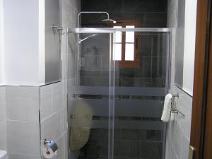 a shower with a glass door in a bathroom at CASA FLORENTINA in Los Llanos de Aridane