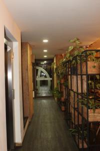 a hallway with plants and a sign in the distance at Hotel Umawue in Concepción