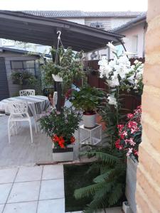 a patio with flowers in pots and a table at Chambre d'Hôtes Chez Eliane et Bernard in Lisle-sur-Tarn