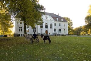 a man on a horse drawn carriage in front of a house at Schloss Zinzow in Zinzow