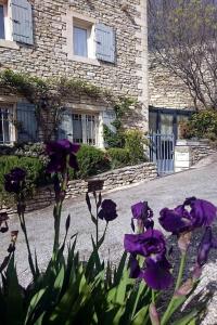 eine Gruppe lila Blumen vor einem Gebäude in der Unterkunft Le Bonheur in Gordes