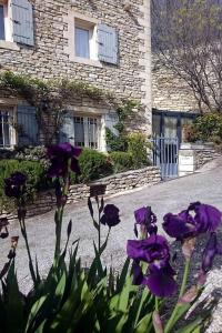 a group of purple flowers in front of a building at Le Bonheur in Gordes