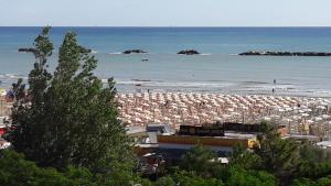 Gallery image of Hotel Dolores in Cesenatico