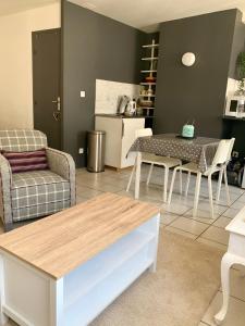 a living room with a couch and a table at Studio au cœur de Lyon in Lyon