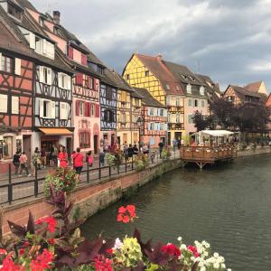 un gruppo di edifici colorati vicino a un fiume di Gîtes La Petite Venise Colmar a Colmar