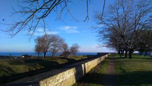 a stone wall with trees and the ocean in the background at Ma Maison in Le Château-dʼOléron