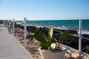 una planta en una olla al lado de una playa en Hotel La Sorgente, en Savelletri di Fasano