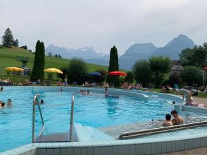 Swimmingpoolen hos eller tæt på priv. Apartment bei Swiss Holiday Park