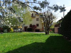 a house in a yard with a tree in the grass at La casa di Clara in Esine