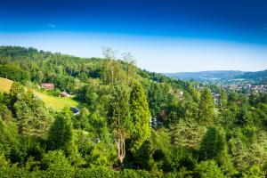 an aerial view of a hill with trees at Villa Brody in Wisła