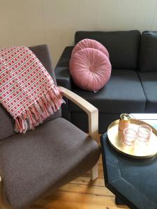 ein Wohnzimmer mit einem Sofa und einem Tisch mit einem Kissen in der Unterkunft Auregarden - a rustique oasis just a blink away from town centre in Vik