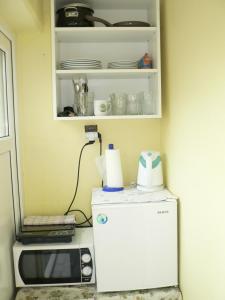 a kitchen with a small refrigerator and a microwave at Penzion W in Plzeň