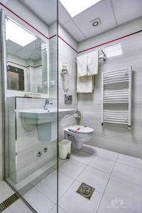 
A bathroom at Hotel Lacu Rosu
