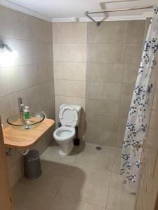 a bathroom with a toilet and a sink at Diamond Giannopoulos Elea Apartments in Kyparissia