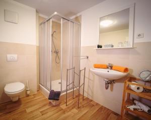 een badkamer met een douche, een toilet en een wastafel bij Ferienwohnungen an der Wassermühle in Quedlinburg
