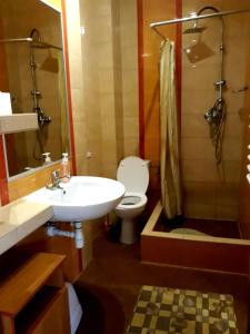 W łazience znajduje się toaleta, umywalka i prysznic. w obiekcie Gospodarstwo Agroturystyczne Pod Lasem Maria Płazio w mieście Narol