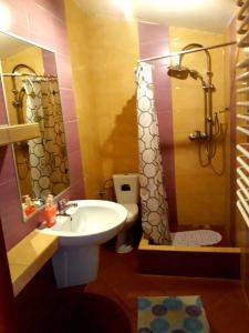 W łazience znajduje się umywalka i prysznic. w obiekcie Gospodarstwo Agroturystyczne Pod Lasem Maria Płazio w mieście Narol