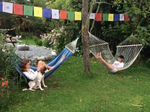 two children and a dog sitting in hammocks in a yard at Greenstone Retreat in Kumara