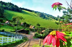 Chalés Fazenda Vale da Mata外面的花园