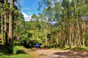 un coche aparcado en un camino de tierra en un bosque en Chalés Fazenda Vale da Mata en Monte Verde