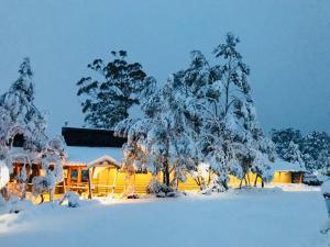 Discovery Resorts - Cradle Mountain v zimě