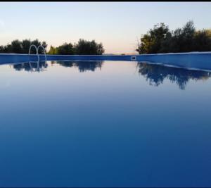 una gran piscina de agua con árboles en el fondo en favoloso appartamento in villa en Monterosi