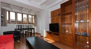 TV a/nebo společenská místnost v ubytování Apartaments Girona Centre