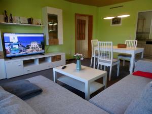 TV a/nebo společenská místnost v ubytování Ferienwohnung am Berggrabenweg