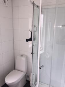 a bathroom with a toilet and a glass shower at Lovely 3 rooms apartment for holiday in Nyksund in Nyksund