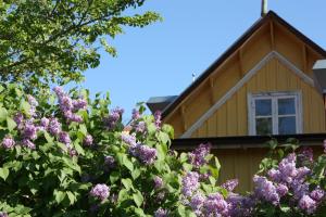 Giardino di Gula Hönan Guest House