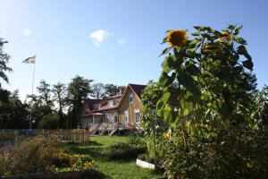 a house with a sunflower in the yard at Gula Hönan Guest House in Ronehamn