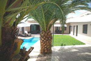 a palm tree sitting next to a swimming pool at El Tornadillo in Gálvez