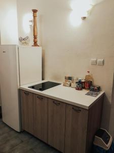 Kuchyň nebo kuchyňský kout v ubytování Antika Guesthouse