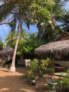 a house with a straw roof and a palm tree at Sun Wind Beach Kalpitiya Kite Resort in Kalpitiya