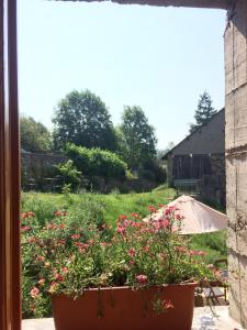 una ventana con una maceta de flores en un patio en B&B MaisonNel en Saint-Bonnet-en-Champsaur