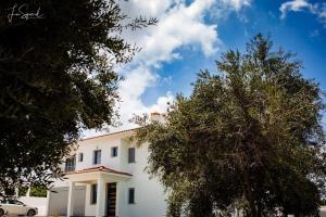une maison blanche avec des arbres devant elle dans l'établissement Villa Despoina, à Paphos