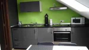 cocina con fregadero y pared verde en en gaume séjour au calme en Jamoigne