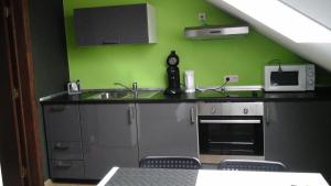 una cucina con lavandino e parete verde di en gaume séjour au calme a Jamoigne