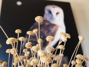 Fotografie z fotogalerie ubytování Hospedium Hostal Almanzor v destinaci Navarredonda de Gredos