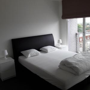 Легло или легла в стая в A La Ferme