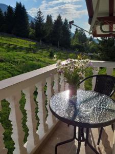 En balkon eller terrasse på Pensiunea Casa Bradet