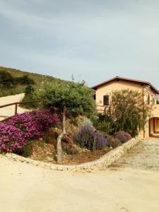 a garden with purple flowers and a house at B&B Dimora Marchese in Marina di Camerota