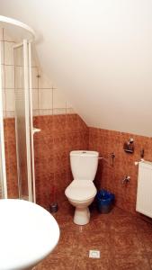 a bathroom with a toilet and a shower at Agroturystyka Natalia in Bukówka