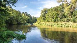 a river with trees on the side of it at Z-Hotel Business & Spa in Otwock