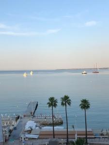 a harbor with palm trees and boats in the water at Hotel Courbet in Juan-les-Pins