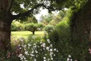 Zahrada ubytování Willowhill House Bed and Breakfast P43 YK06